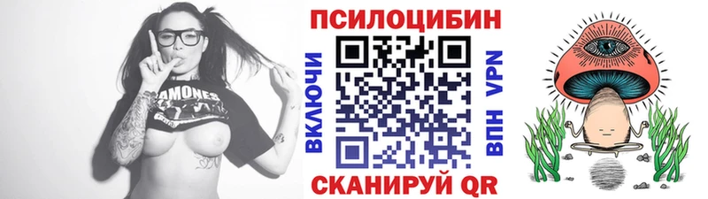 Галлюциногенные грибы Psilocybine cubensis  сколько стоит  Белёв 
